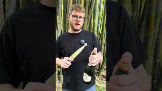 How To Saber A Bottle Of Champagne