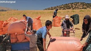 Akram and Mohsen Buy Hay to Prepare Their Goats for Autumn and Winter 🐐🌾
