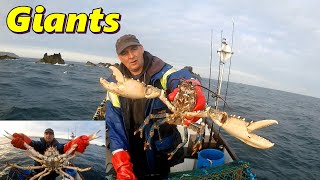 Giant Lobster Giant Crab & Fresh Mackerel with Old Bay Seasoning