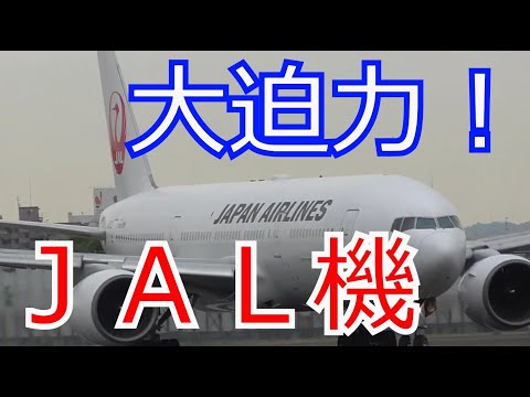 日本航空JAL ボーイング777 伊丹空港からの大迫力の離陸シーン！！