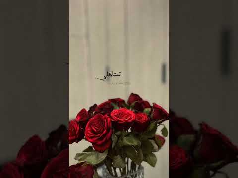 تستاهلي تنحبي بجد