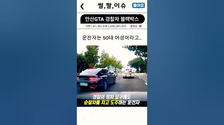 안산GTA 경찰차 블랙박스 버전 #썰 #짤 #이슈 #안산
