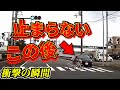 【ドラレコ】少女が信号無視の結果交差点で女子小学生この後衝撃の瞬間28選交通安全危険予知最新日本ドラレコ映像