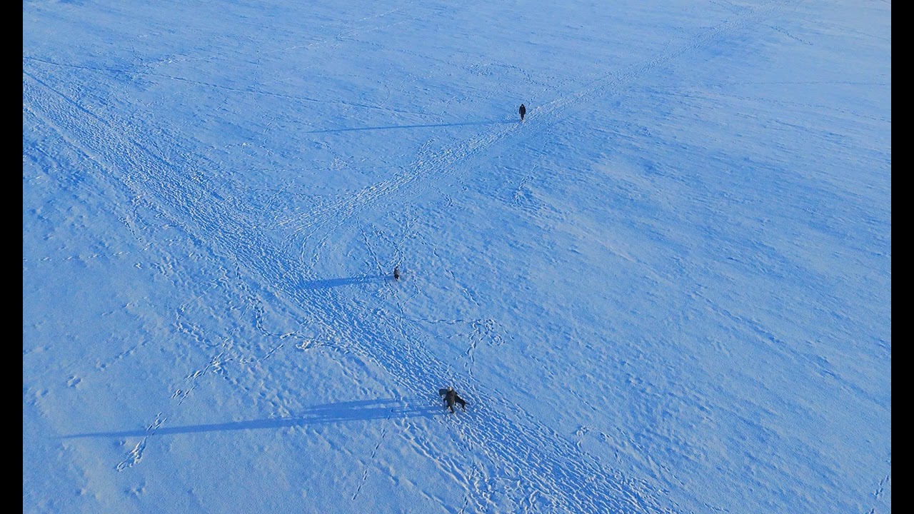Snow-covered Bignold Park and Kirkwall town, Orkney Islands snow 007