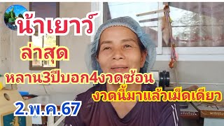 น้าเยาว์#ล่าสุดหลลาน3ขวบบอก4งวด#2.พ.ค.67