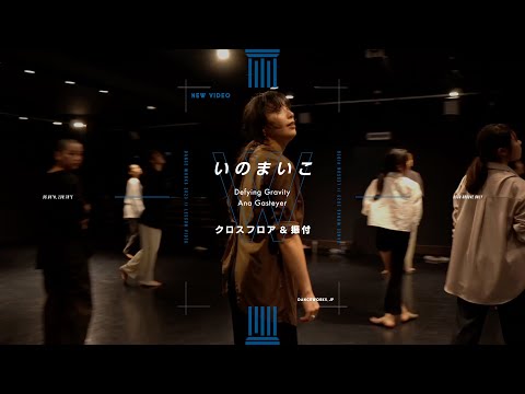 いのまいこ - クロスフロア&振付 " Defying Gravity / Ana Gasteyer "【DANCEWORKS】