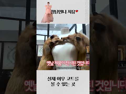 충격실화😲 실제 여우코트를 볼 수 있는 구찌박물관 | 치유 CHEEU
