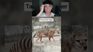 Extinct Animals Caught on Camera! 😨