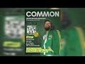 Common - The 6th Sense (MARQeelo Remix)