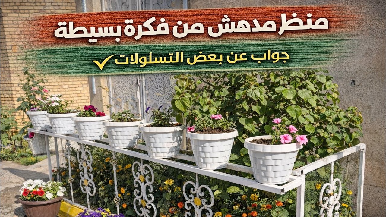 نتائج الابتكارات والاجابة عن تساؤلات المتابعين 