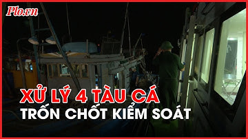 Bà Rịa-Vũng Tàu: Xử lý bốn tàu cá trốn chốt kiểm soát để đi đánh bắt - PLO