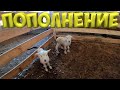 КУПИЛ ЭКСКАВАТОР  ! ПОПОЛНЕНИЕ  ! [Жизнь в деревне]