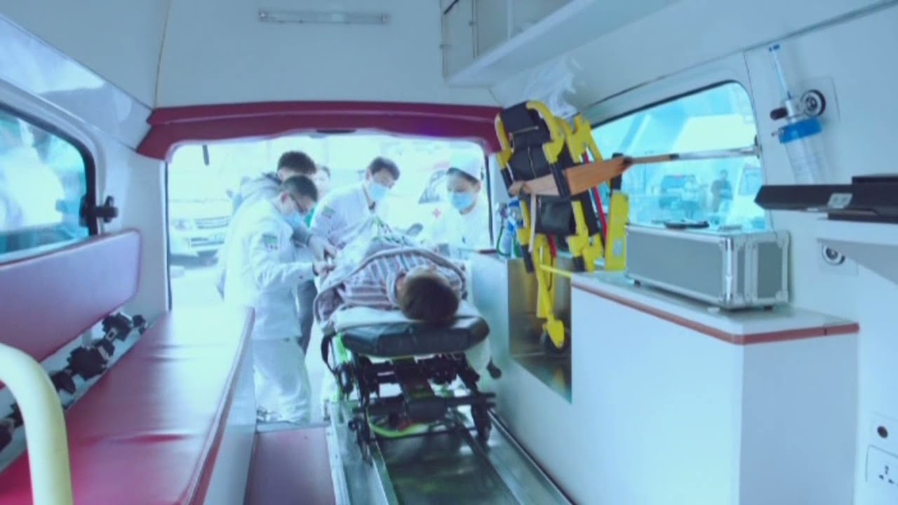 RED LEAF- Stretcher Manufacturer