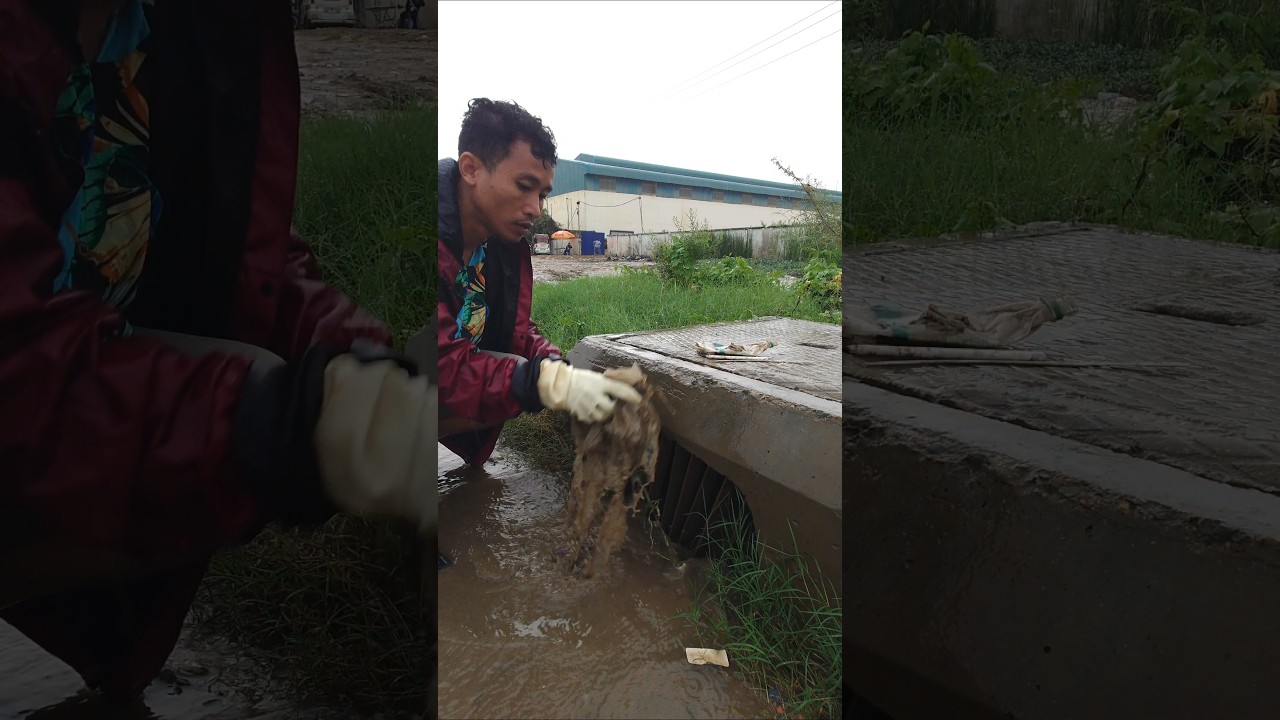 Volunteer Remove Plastics Dirty Unclog Culvert Drain 