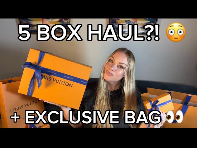 Louis Vuitton 5 Box Haul + Exclusive Bag Reveal #LouisVuitton