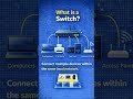 WHAT IS A SWITCH ???