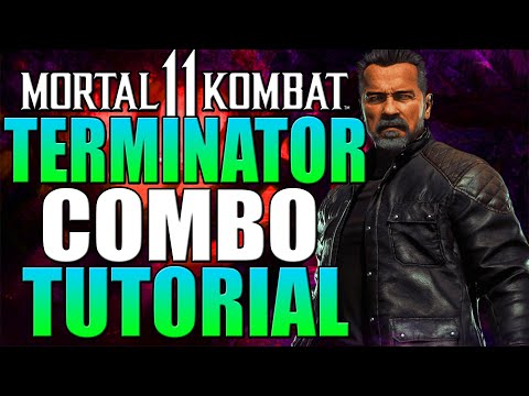 Mortal Kombat 11 Terminator Combo Tutorial - Daryus P