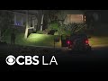 Bear encounter leaves woman with minor injuries in Monrovia