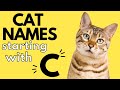 180+ Cat Names Starting With &quot;C&quot; | Boy and Girl Cat Names