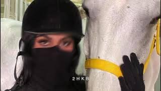 يا حبي أفهم - انت الذي مايشبهك بالملا حي - مالوم من سماك | راشد الماجد