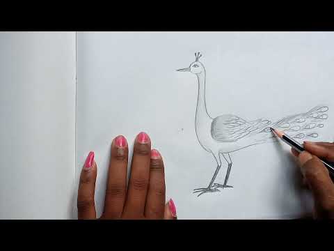 mayur art video