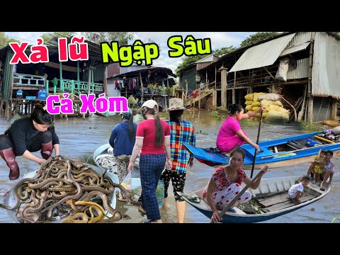 Lũ lên đỉnh điểm ngập sâu cả xóm biên giới Campuchia - Rắn nước giá rẻ chợ Cống Cây Mít