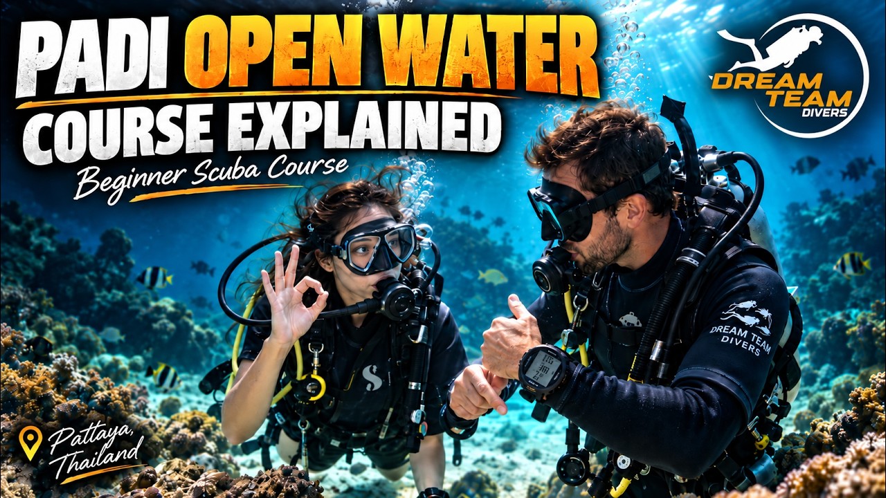 PADI Open Water Diver Course Explained: Your First Step Into Scuba Diving in Pattaya
