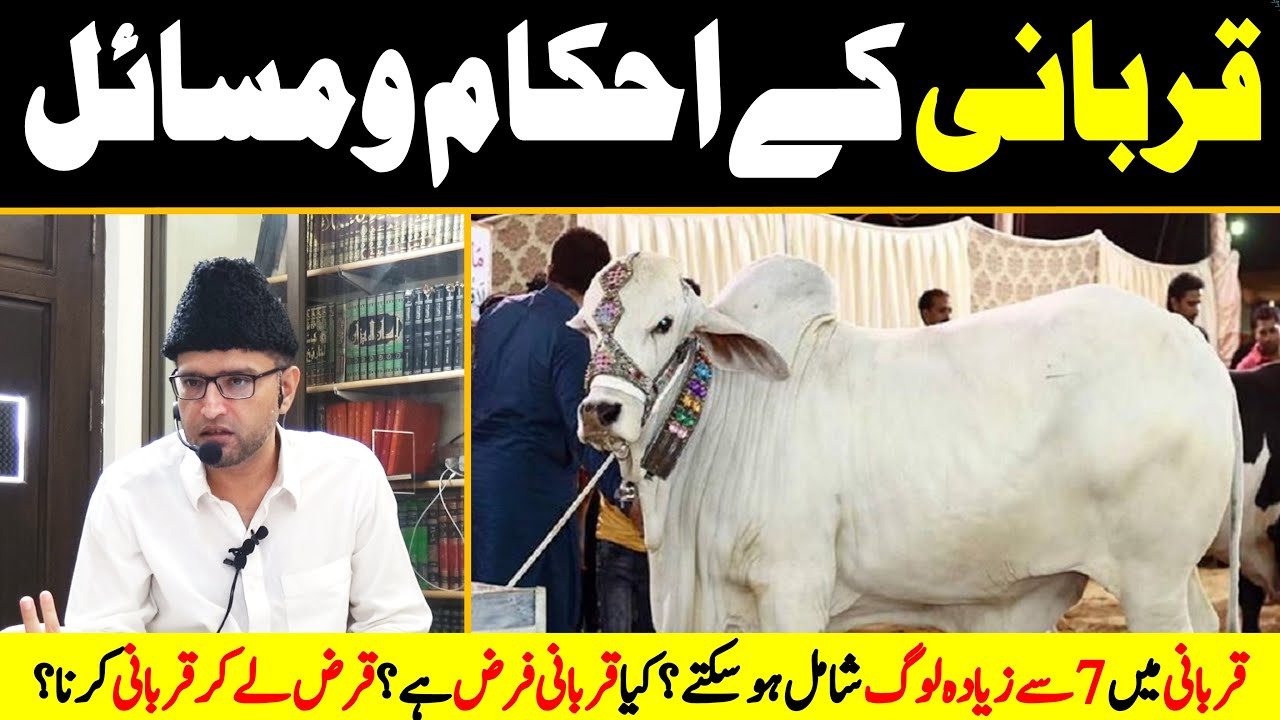 EK JANWAR mein 7 say ZIADA HISSAY? QURBANI FARZ? QARZA le kar QURBANI? QURBANI kay EHKAM-o-MASAIL