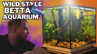 Setting up an EASY natural Betta aquarium! (low tech, botanical aquascape tutorial) by Fish Shop Matt 47,615 views 1 month ago 24 minutes