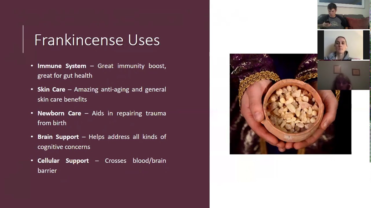 Frankincense Essential Oil for Dogs and Dog Moms YouTube