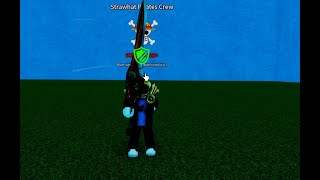 How to obtain the Time Sword!(Cat Piece)