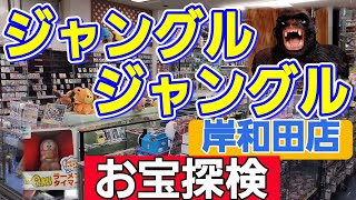 Jungle Jungle Kishiwada Store ✨Treasure Hunt at the Recycle Shop