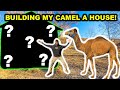 Building My GIANT CAMEL a HOUSE in My BACKYARD FARM!!!