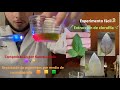 Extracción de clorofila 😯 🍃🧪 (experimento sencillo)