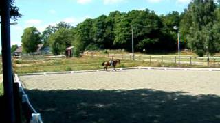 DSCF5358.AVI