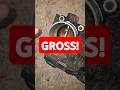 Vauxhall Corsa D: Gross Throttle Body (Opel Corsa D)