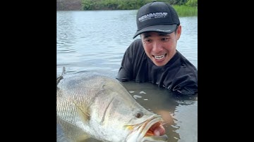 Chinh phục cá chẽm cà mau #chitoanfishing #cauca #cauca #fishing #caucagiaitri