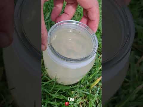 أرخص و أقوى مبيد حشري و طبيعي للنباتات فعال و آمن