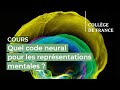 Quel code neural pour les reprsentations mentales  1  stanislas dehaene 20222023