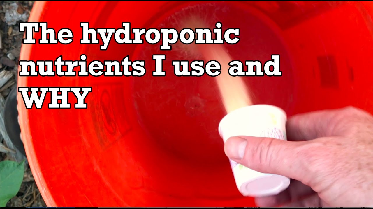 Hydroponics: Which nutrients should you use?