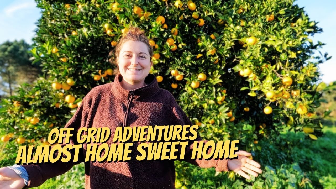 53 - Наш автономный амбар скоро будет готов + ОБНОВЛЕНИЯ