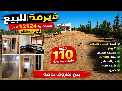فيرمة للبيع لظروف خاصة🚨من بنسليمان📍 فقط 110 مليون هكتار و2300 متر دار |كوري | شاطو | الطاقة الشمسية✨