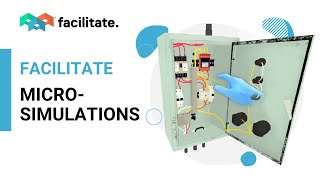 Facilitate Micro-simulations