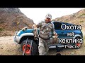 Горная охота на кеклика/каменную куропатку. Часть первая.