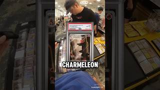 1st Buyer POV - 151 Charmeleon Pick Up 🔥 #pokemon #tcg #tradingcards #pokémon #pokemoncommunity