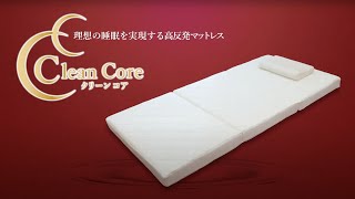 【理想の睡眠を実現する】クリーンコア（マットレス＆枕）敷きパッド イケヒコ IKEHIKO