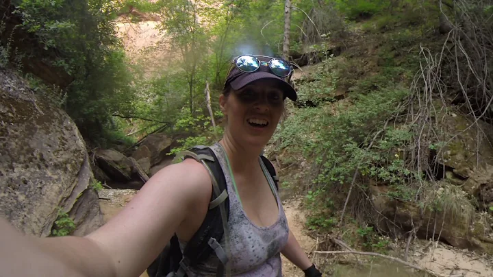 Zions June 2017