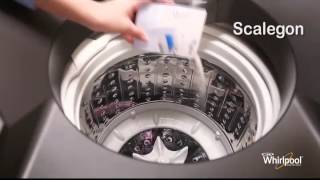 Whirlpool 360 Bloomwash - Tub Cleaning