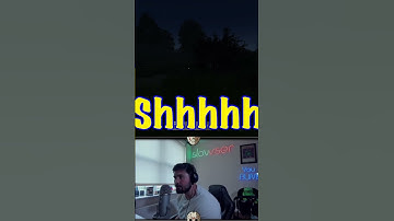 A typical day in DayZ