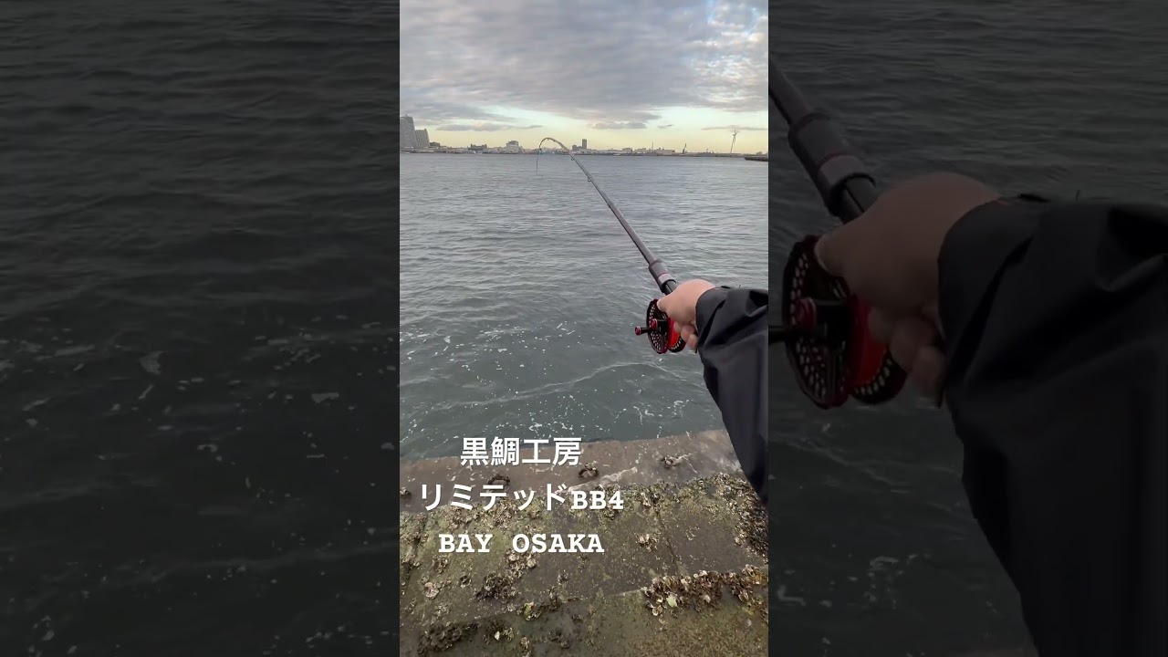 黒鯛工房から新しく出たリミテッドBB4ベイ大阪（フカセ）胴から曲る綺麗な竿265〜295の30センチのズーム機能搭載。　大阪だけでなく色々なフィールドでその性能を発揮できる。ご質問等はコメント欄で。